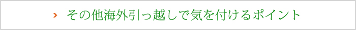 その他海外引っ越しで気を付けるポイント