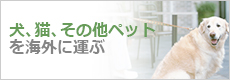 犬、猫、その他ペットを海外に運ぶ